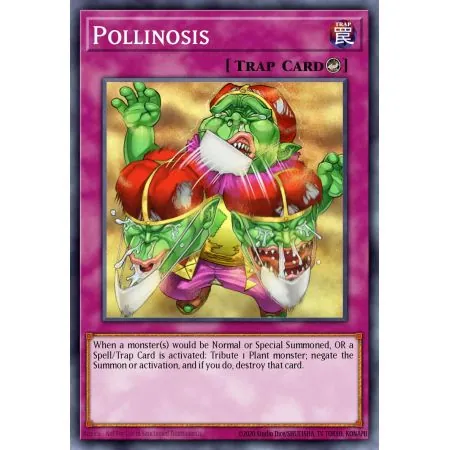 Pollinosis (Common)
