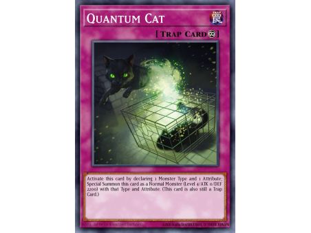 Quantum Cat (Common)