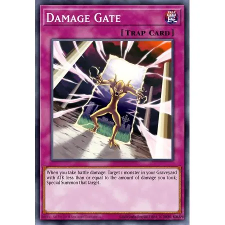 Damage Gate (Common)
