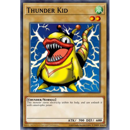 Thunder Kid (Common)