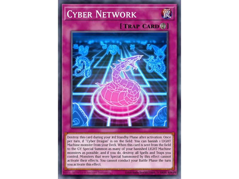 Cyber Network (Common)