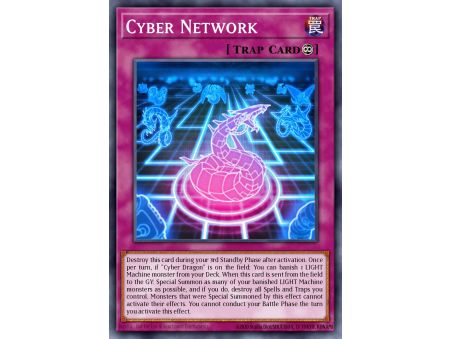Cyber Network (Common)