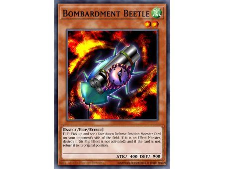 Bombardment Beetle (Common)