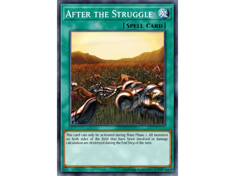 After the Struggle (Common)