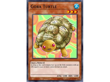 Gora Turtle (Common)