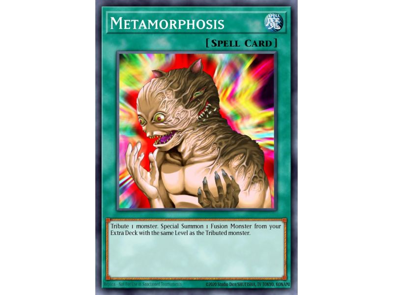 Metamorphosis (Common)