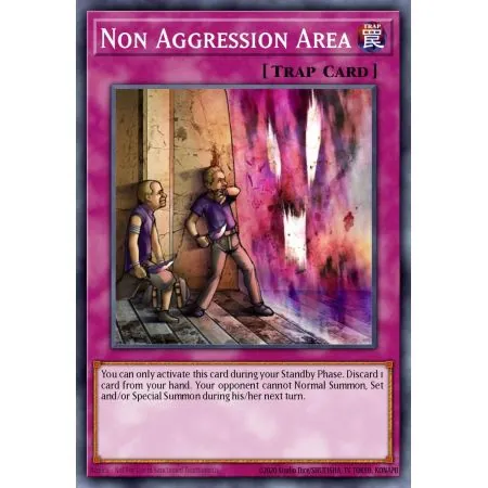Non Aggression Area (Common)