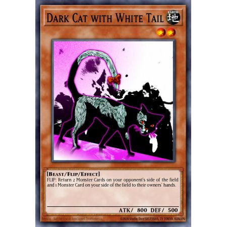 Dark Cat with White Tail (Common)