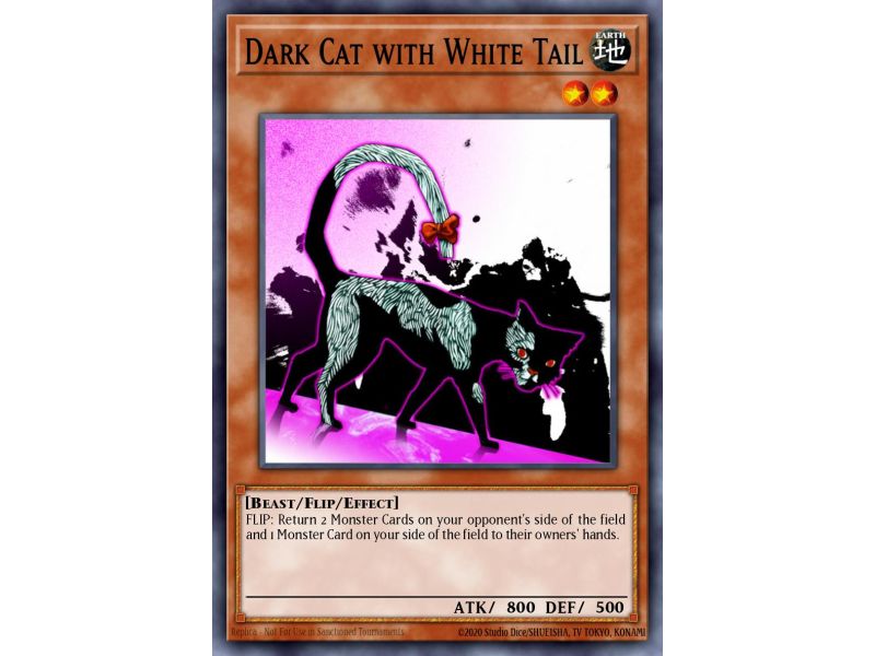 Dark Cat with White Tail (Common)