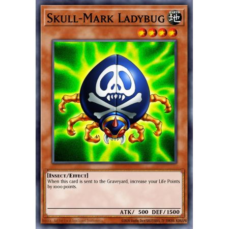 Skull-Mark Ladybug (Common)