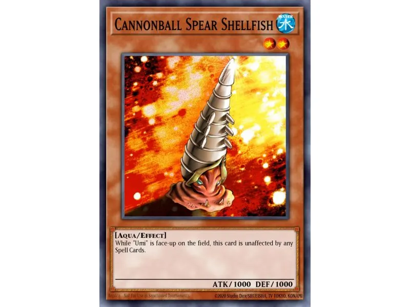 Cannonball Spear Shellfish (Common)