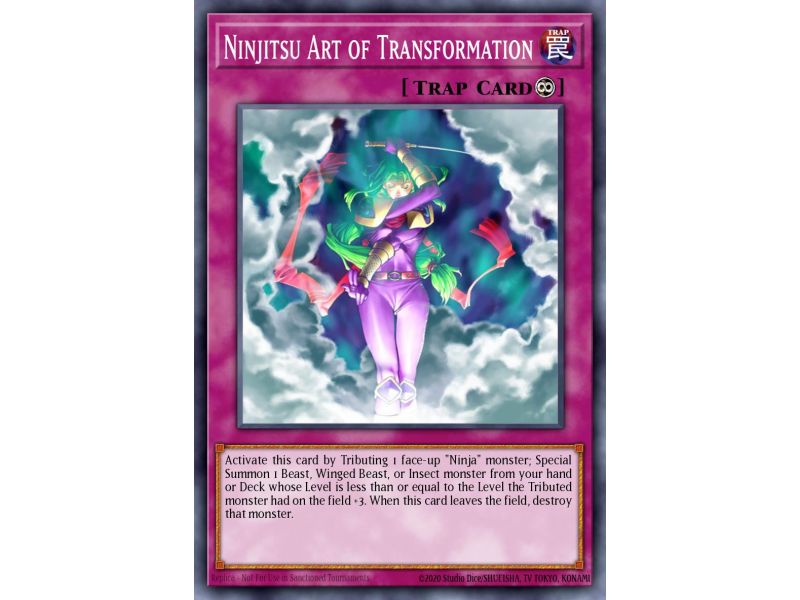 Ninjitsu Art of Transformation (Common)