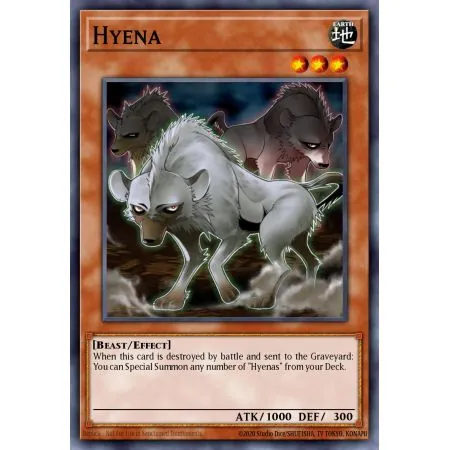 Hyena (Common)