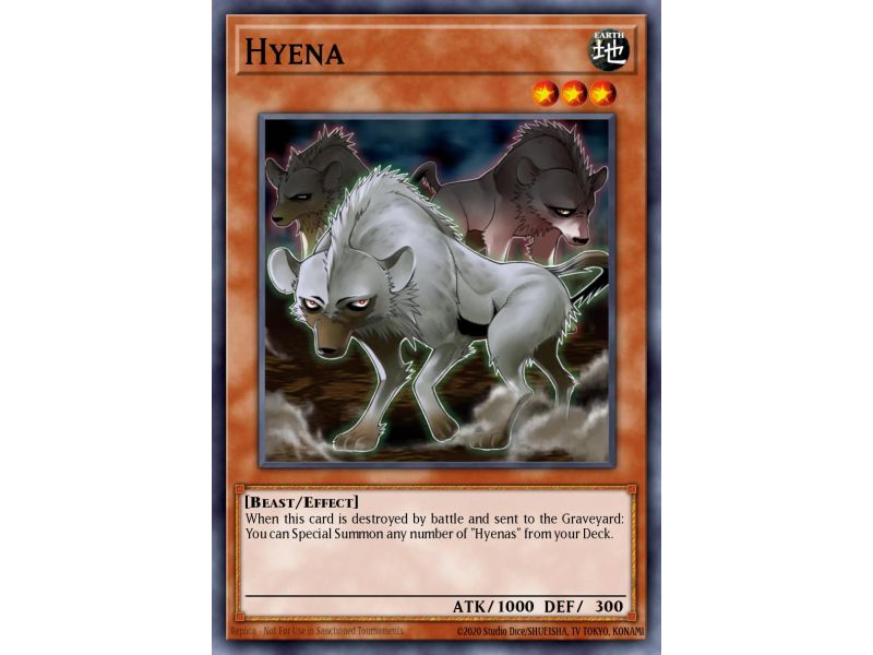 Hyena (Common)
