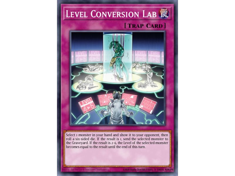 Level Conversion Lab (Common)