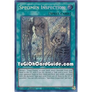 Specimen Inspection (Secret Rare)