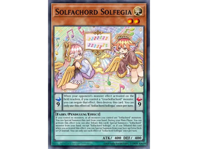 Solfachord Solfegia (Common)