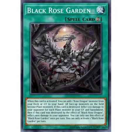 Black Rose Garden (Starlight Rare)