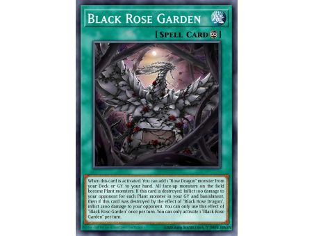 Black Rose Garden (Starlight Rare)