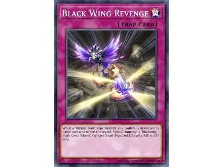 Black Wing Revenge (Super Rare)