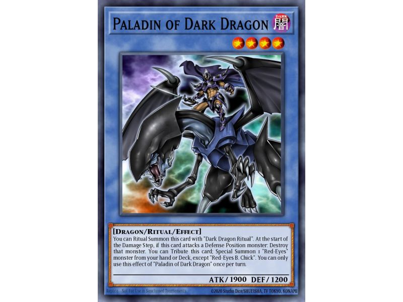 Paladin of Dark Dragon (Secret Rare)
