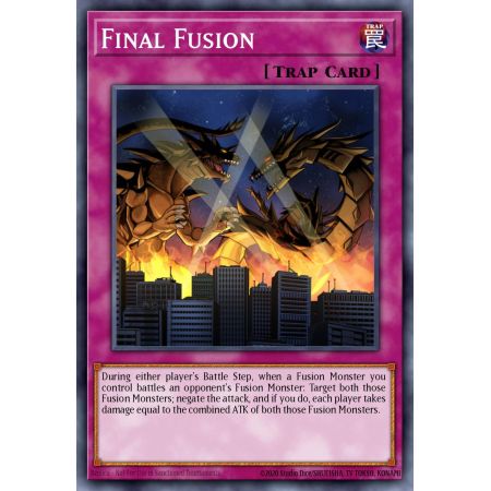 Final Fusion (Common)