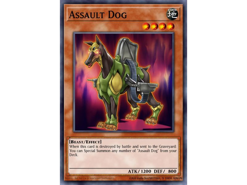 Assault Dog (Common)