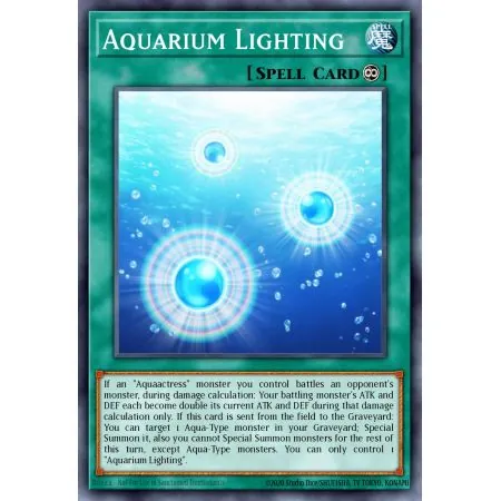 Aquarium Lighting (Common)