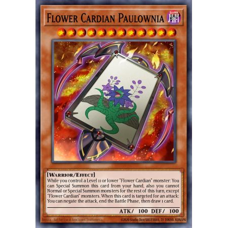 Flower Cardian Paulownia (Common)