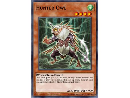 Hunter Owl (Common)
