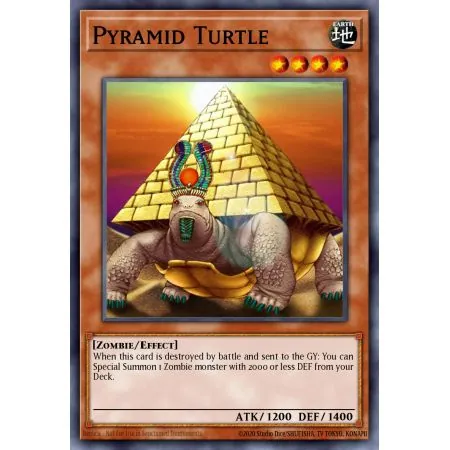 Pyramid Turtle (Rare)