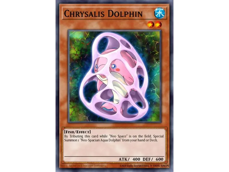 Chrysalis Dolphin (Common)