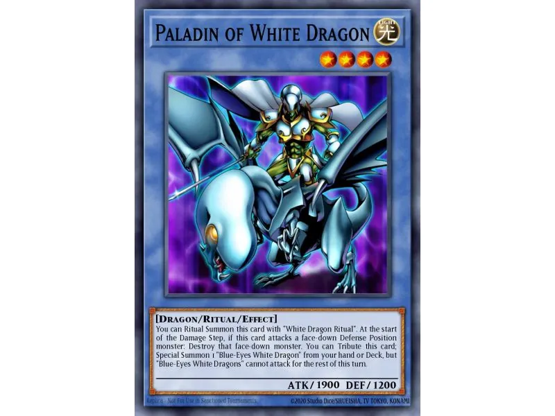 Paladin of White Dragon (Rare)
