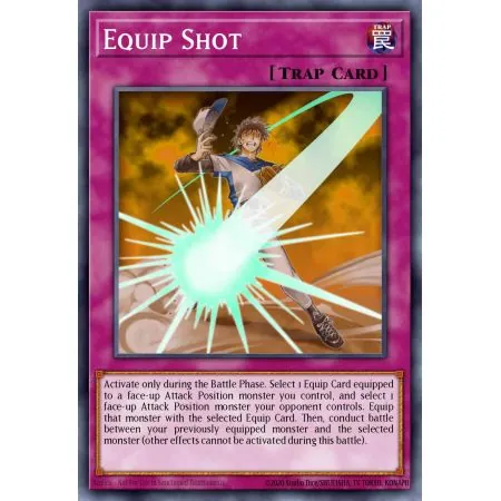 Equip Shot (Common)