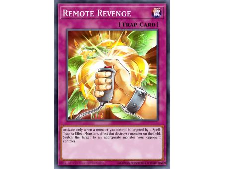 Remote Revenge (Common)