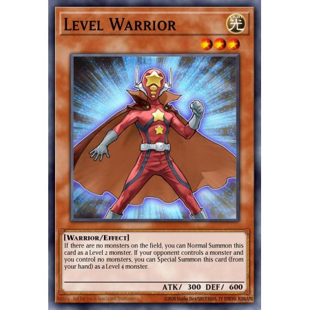 Level Warrior (Common)