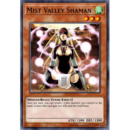 Mist Valley Shaman (Duel Terminal Super Parallel Rare)