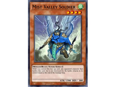 Mist Valley Soldier (Duel Terminal Normal Parallel Rare)