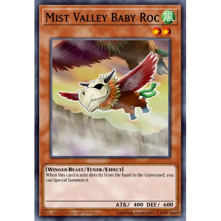 Mist Valley Baby Roc (Duel Terminal Normal Parallel Rare)