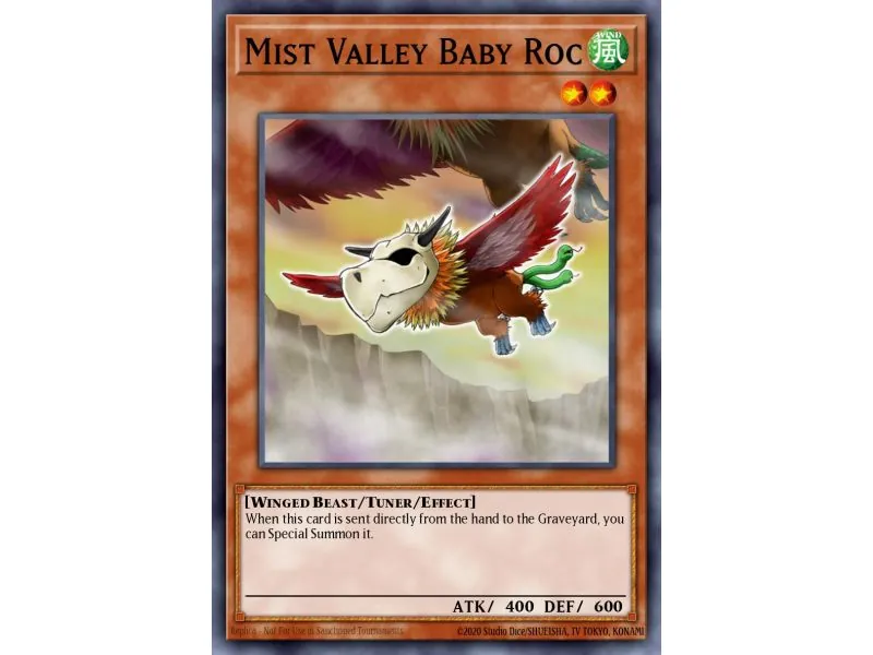 Mist Valley Baby Roc (Duel Terminal Normal Parallel Rare)