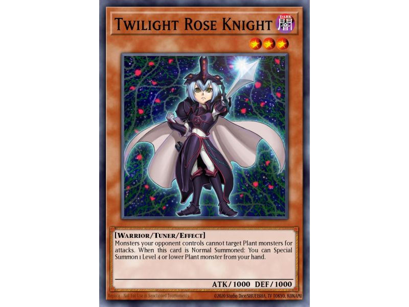Twilight Rose Knight (Duel Terminal Normal Parallel Rare)