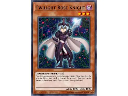 Twilight Rose Knight (Duel Terminal Normal Parallel Rare)