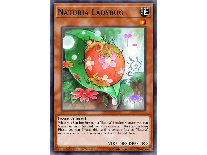 Naturia Ladybug (Duel Terminal Normal Parallel Rare)