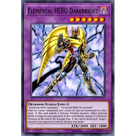 Elemental HERO Darkbright (Duel Terminal Normal Parallel Rare)