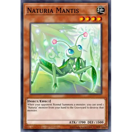 Naturia Mantis (Duel Terminal Normal Parallel Rare)