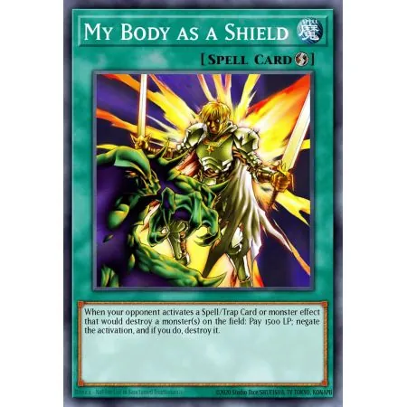 My Body as a Shield (Duel Terminal Normal Parallel Rare)