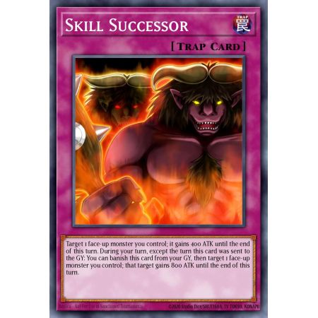 Skill Successor (Duel Terminal Normal Parallel Rare)
