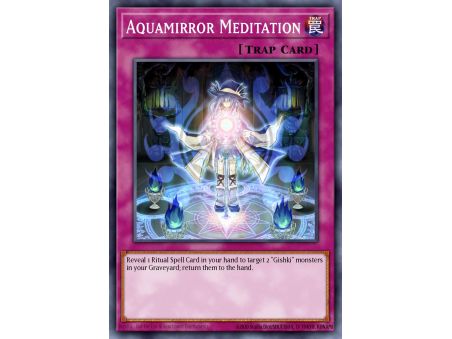 Aquamirror Meditation (Duel Terminal Rare Parallel Rare)