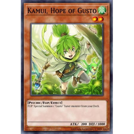 Kamui, Hope of Gusto (Duel Terminal Normal Parallel Rare)