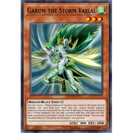 Garum the Storm Vassal (Common)